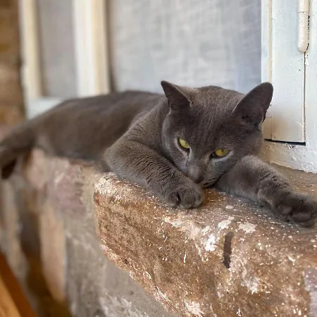 Norte Мини-отель